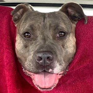 Meet your Posher, Rodolfo